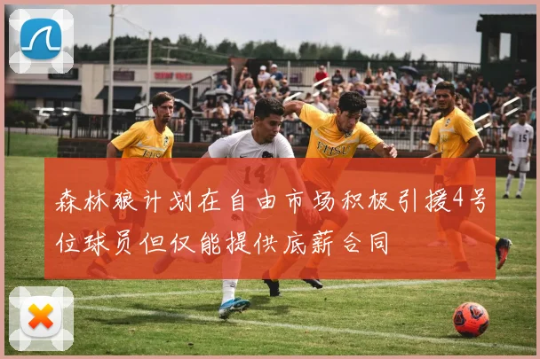 森林狼计划在自由市场积极引援4号位球员但仅能提供底薪合同