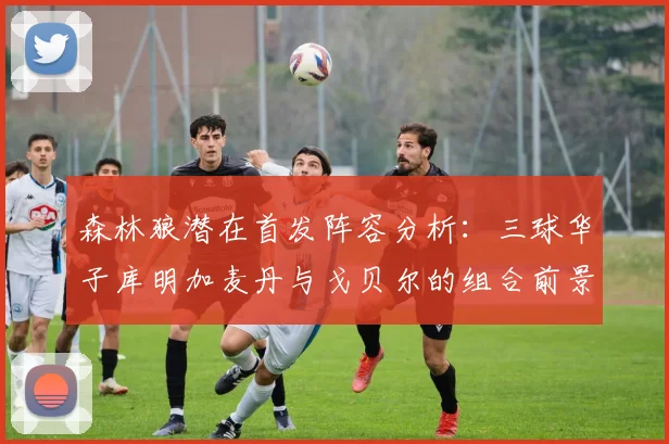 森林狼潜在首发阵容分析：三球华子库明加麦丹与戈贝尔的组合前景如何