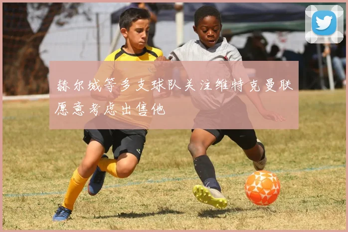 赫尔城等多支球队关注维特克曼联愿意考虑出售他