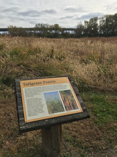 cixxMpf4SxCJ0Sp9APTLcw